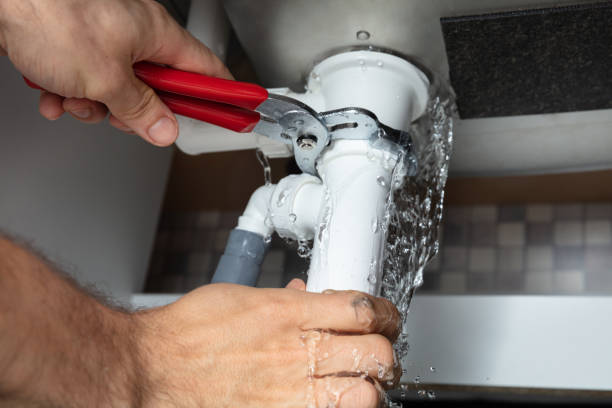 Best Mold removal after water damage  in Quail Ridge, FL