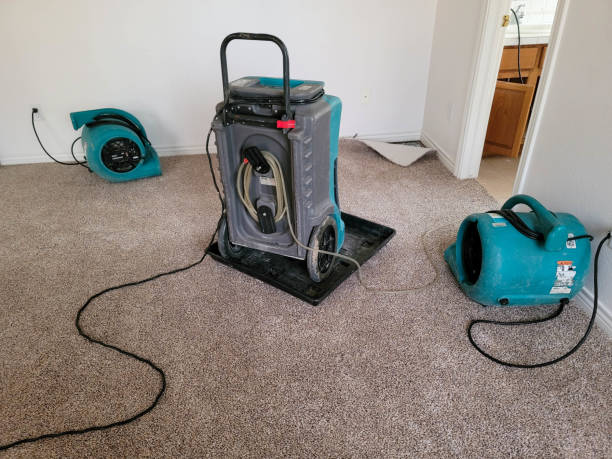 Best Water damage restoration near me  in Quail Ridge, FL