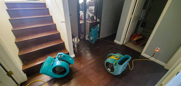 Best Carpet water damage restoration  in Quail Ridge, FL