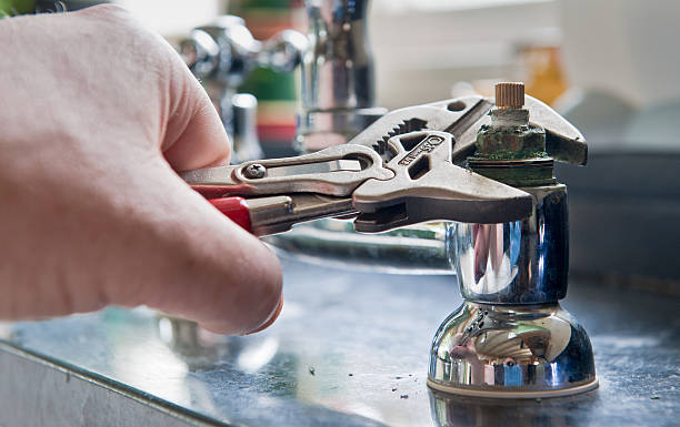 Best Professional water damage repair  in Quail Ridge, FL