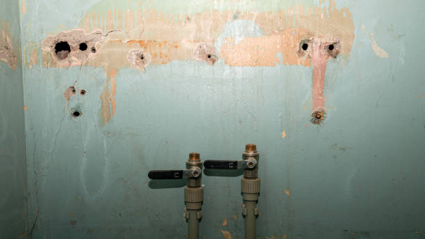Professional Water damage restoration in Quail Ridge, FL