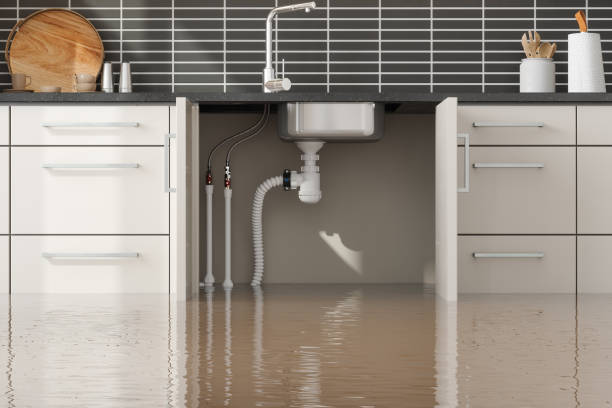 Best Emergency water extraction  in Quail Ridge, FL