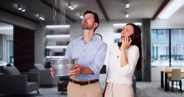 Best Local water damage restoration  in Quail Ridge, FL